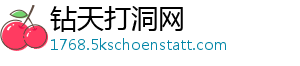钻天打洞网